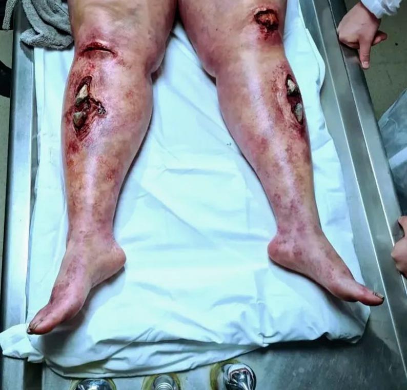 Curso David Solber sfx36