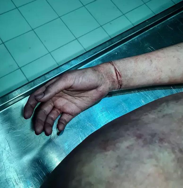 Curso David Solber sfx37