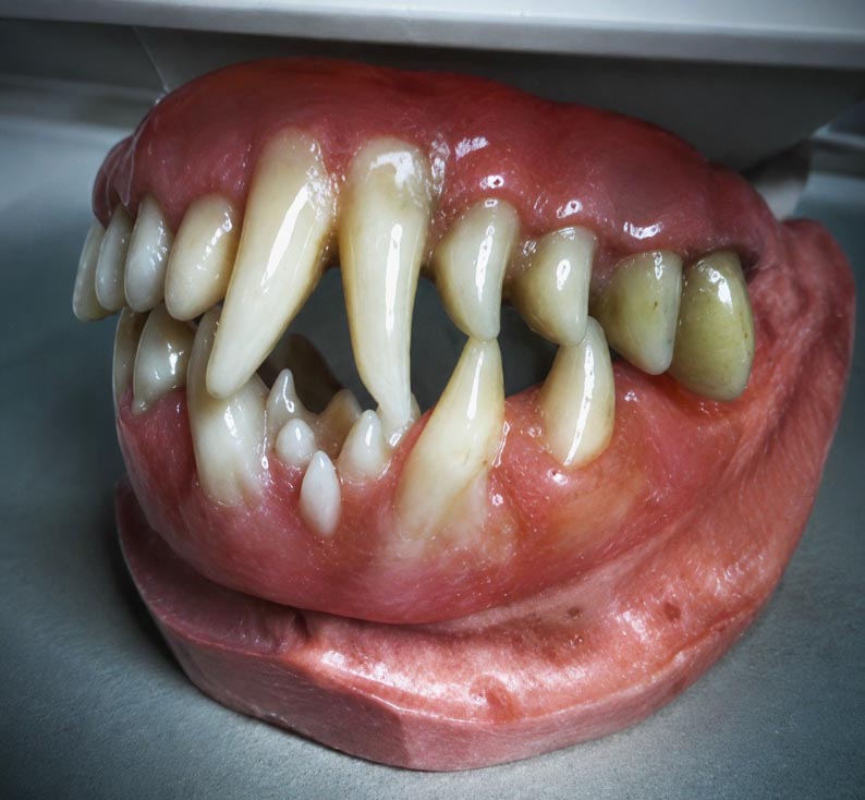 Curso David Solber sfx4