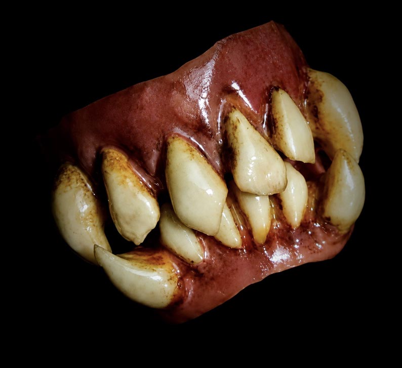Curso David Solber sfx5
