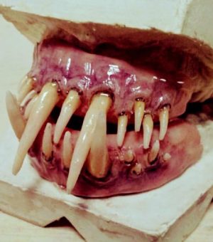 Curso David Solber sfx21