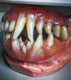 Curso David Solber sfx4